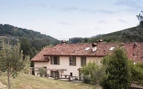 Primarosa